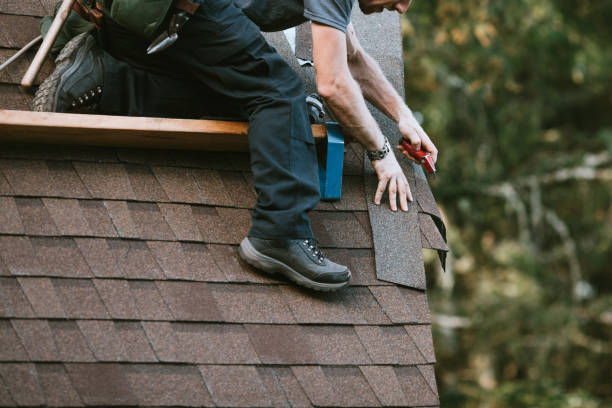 Best Roof Gutter Cleaning  in Hugo, OK