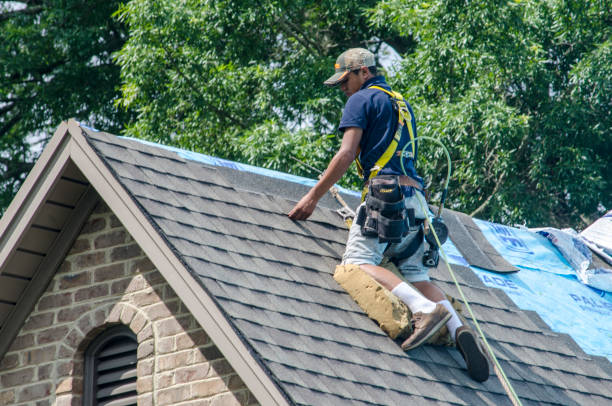 Best Roof Gutter Cleaning  in Hugo, OK